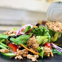 Vegan Tuna Prototypes Image 3