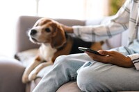 Free Pet Parent Services Image 1