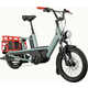 Low-Step Cargo eBikes Image 5