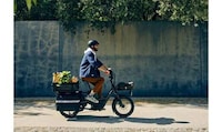 Low-Step Cargo eBikes Image 7