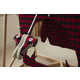 Flannel Patterned Timeless Collections Image 1