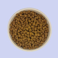Oven-Baked Dog Foods Image 2