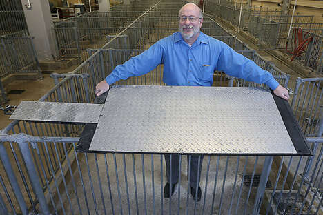 Swine-Centric Cooling Pads