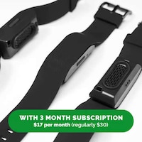 Alcohol-Monitoring Bracelets