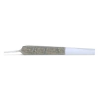 Potent Cannabis Pre-Rolls Image 2