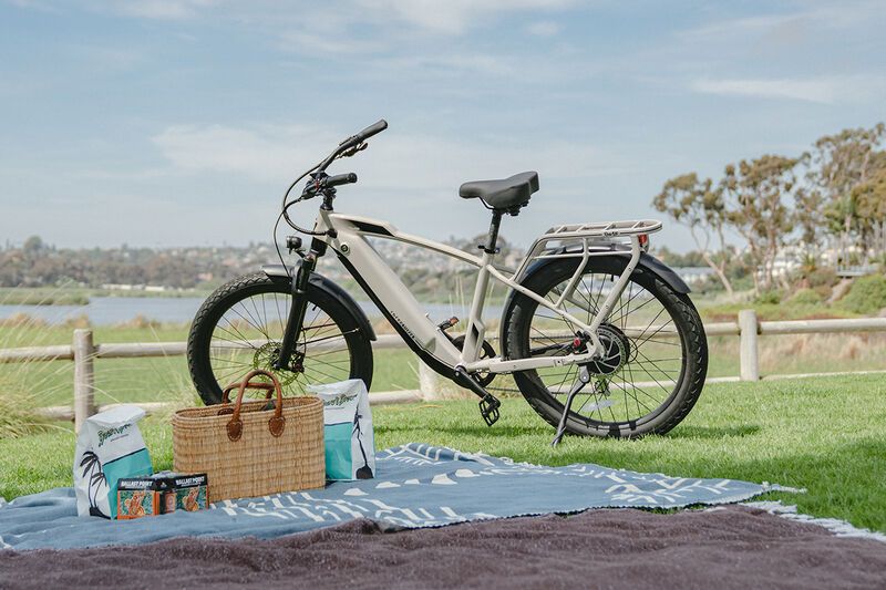 Comfortable Functional Electric Bikes