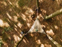 Family-Friendly Suspended Tents Image 7