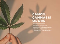 Cannabis Odor Neutralizers Image 1