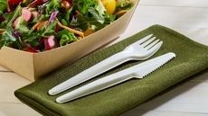 Paper-Made Compostable Cutlery Article Thubnail