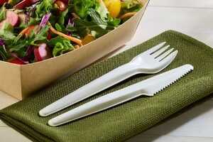 Paper-Made Compostable Cutlery Article Thubnail