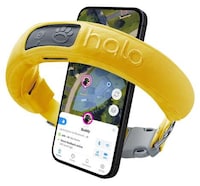 AI-Driven Dog Collars Image 1