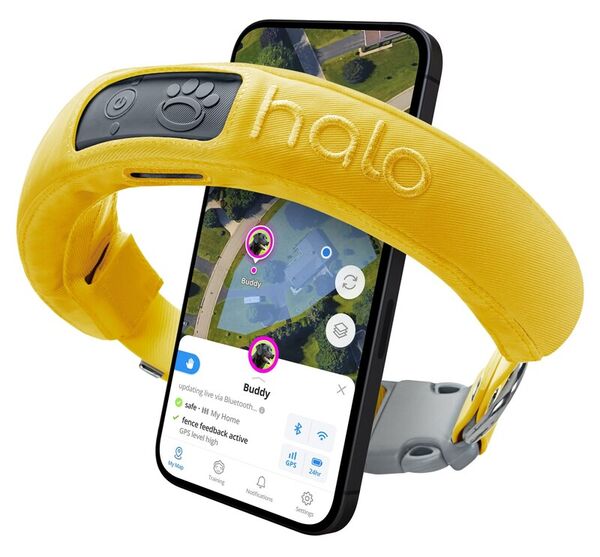 AI-Driven Dog Collars