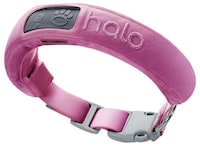 AI-Driven Dog Collars Image 2
