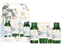 Holiday-Ready Botanical Skincare Sets