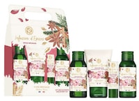 Holiday-Ready Botanical Skincare Sets Image 5