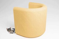 Posh Pet-Friendly Chair Designs Image 3