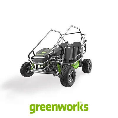 Debut Electric Go-Karts : greenworks stealth go kart