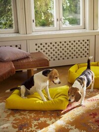 Artful Supportive Dog Beds Image 3