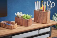 Eco-Friendly Hardwood Accessories Image 3