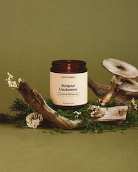Exquisite Autumn Candle Collections Image 1