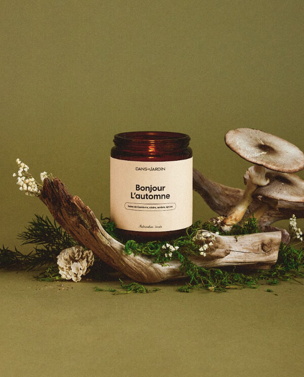 Exquisite Autumn Candle Collections