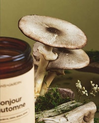 Exquisite Autumn Candle Collections Image 5