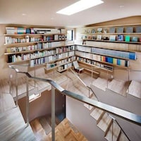 Feline-Focused Modern Homes Image 1