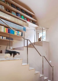 Feline-Focused Modern Homes Image 2