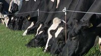 High-Tech Dairy Equipment