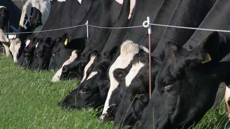 High-Tech Dairy Equipment