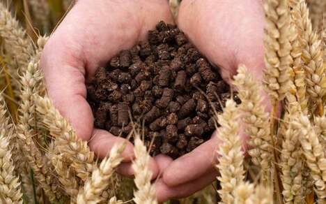 Cocoa Shell Low-Carbon Fertilizers