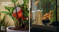 Sustainable QSR Litter Adverts Image 1