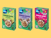 Health-Focused Vegan Breakfasts