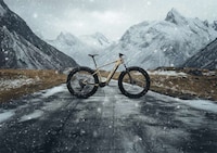 Multipurpose Fat-Tire E-Bikes Image 1