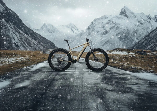 Multipurpose Fat-Tire E-Bikes