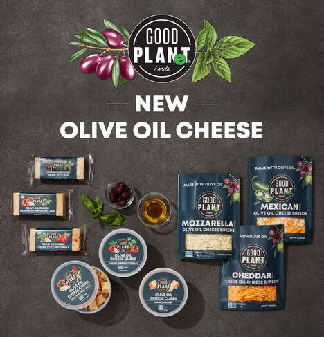 Olive Oil Cheeses