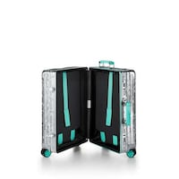 Jewelry-Collaborative Luxe Luggage Image 4