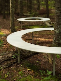 Ring-Shaped Forest Blenches