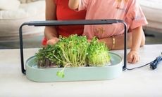 Ocean Plastic Indoor Gardens Article Thubnail