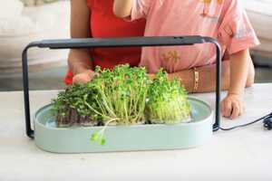 Ocean Plastic Indoor Gardens Article Thubnail