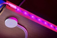 eSports-Synced Smart Lights Image 2