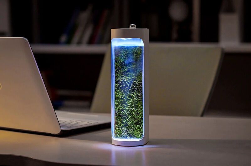 Moss-Powered Air Purifiers