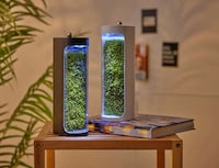 Moss-Powered Air Purifiers Image 2