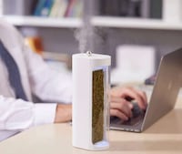 Moss-Powered Air Purifiers Image 4