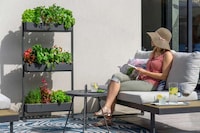 Soil-Free Garden Systems