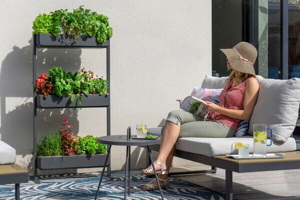Soil-Free Garden Systems