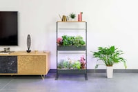 Soil-Free Garden Systems Image 2