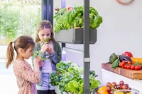 Soil-Free Garden Systems Image 3