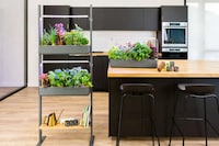 Soil-Free Garden Systems Image 5