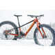 Snow-Faring Mountain Bikes Image 4